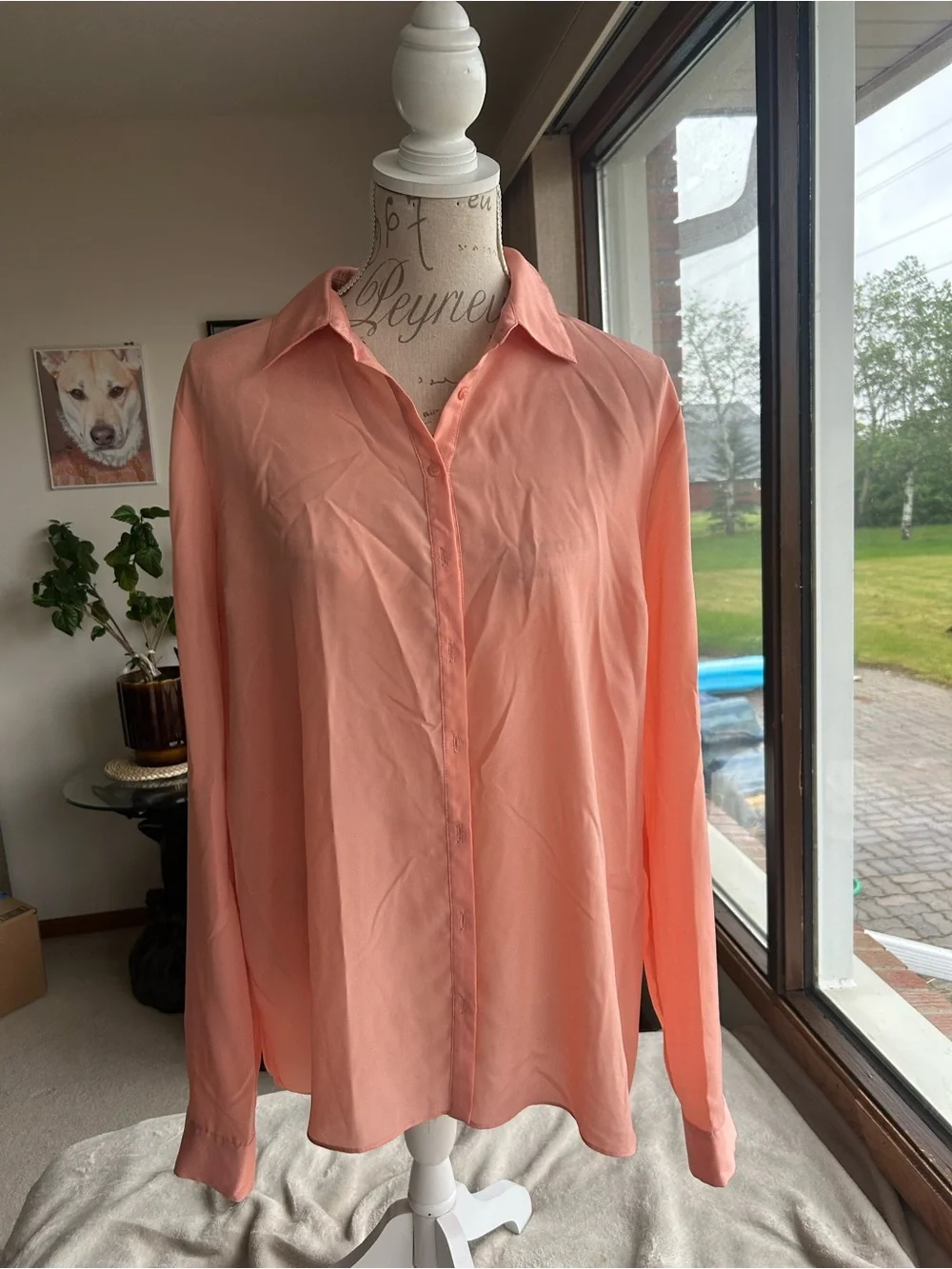 Marciano Light Coral Button-Up Blouse - Picture 2 of 4